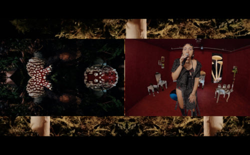 Fact Live: Delilah Holliday