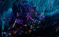 Britton Powell, Lucy Railton and Huerco S. join forces as PDP III for the meditative ‘49 Days’