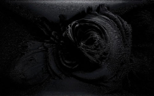 404.zero utilise neural networks and analog synthesisers in Deep Echo