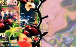 Maral & Panda Bear share kaleidoscopic visual for new track, ‘On Your Way’