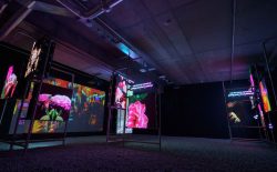 LUX: Hito Steyerl – This is the Future