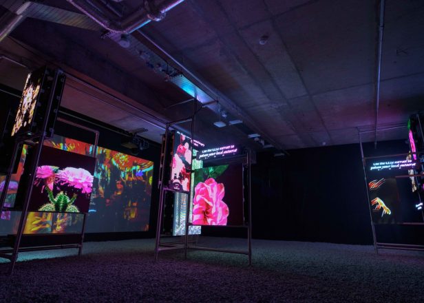 LUX: Hito Steyerl – This is the Future