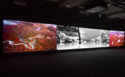 Richard Mosse’s Broken Spectre extended until 9 April
