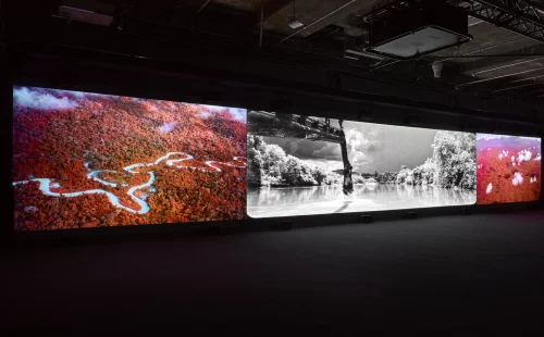 Richard Mosse’s Broken Spectre extended until 9 April
