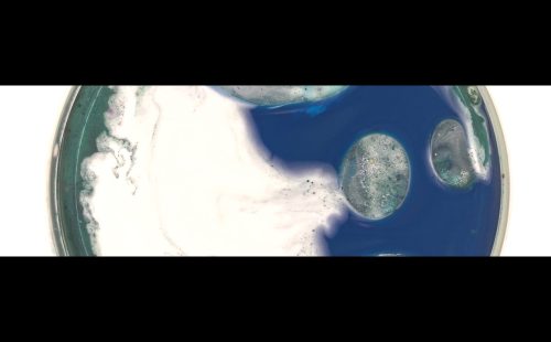 Natália Trejbalová flattens out the Anthropocene in Isle Of The Altered Sun