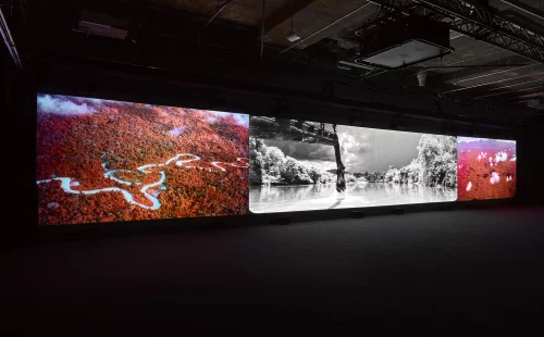 Richard Mosse on the making of Broken Spectre