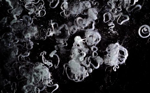 Solveig Settemsdal & Melkeveien entangle us within the world in the i sea