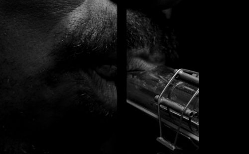 Fact Premiere: Aurélien Bernard – (reed) [Feat. Shabaka Hutchings]