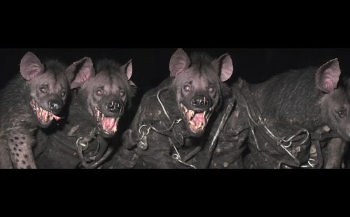 Fact Premiere: Gorgonn – Life As A Beast