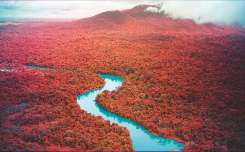 Interview: Richard Mosse